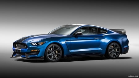 2016 Ford Mustang Shelby GT350R - gt350r, car, muscle, mustang, ford, shelby