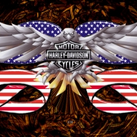 Harley Davidson Free Bird