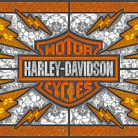 Harley Lightning bolts glass
