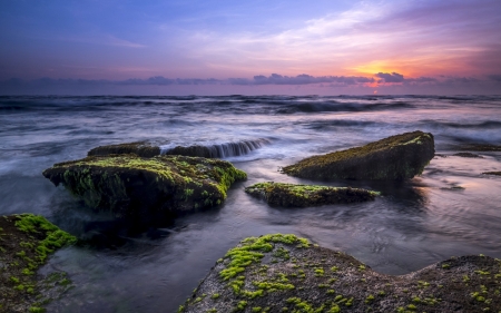 Moss Rocks - nature, beaches, sunset, moss, rocks