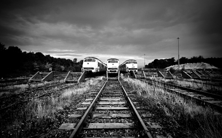 last stop - train, grass, track, tree