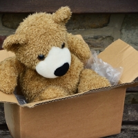 Teddy Bear in a box