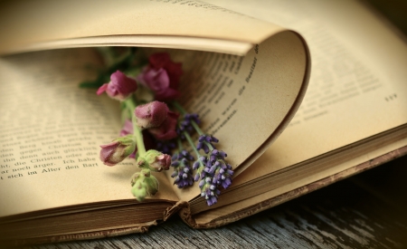 Flowers in a book - Flowers, Book, Old, Love, Lovely, Reading