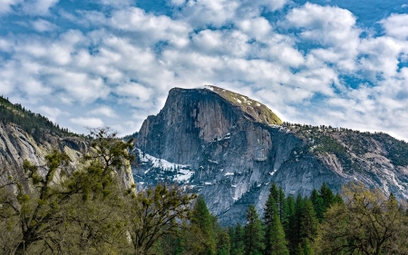 Half Dome - nature, fun, cool, mountain, forest, half dome