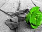 Green Rose