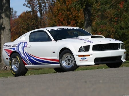 FORD MUSTANG COBRA JET - CAR, IMAGE, MUSTANG, FORD