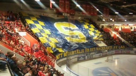 Grazy SSK Fans - sport, nhl, people, fans