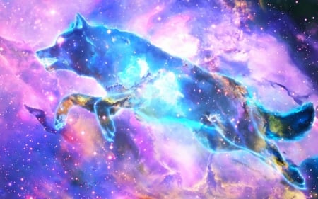 Wolf nebula - fantasy, blue, wolf, stars, pink, luminos, sky, nebula