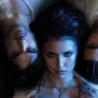 The Vampire Diaries (TV Series 2009â€“2017)