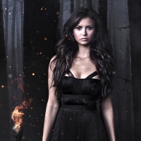 The Vampire Diaries (TV Series 2009â€“2017)