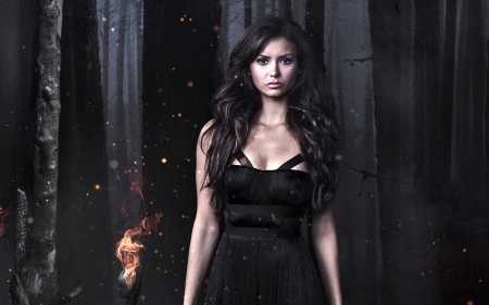 The Vampire Diaries (TV Series 2009–2017) - black, fantasy, the vampire diaries, poster, Nina Dobrev, elena, tv series, dark