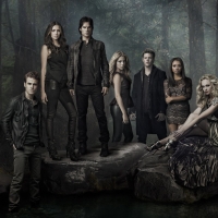 The Vampire Diaries (TV Series 2009â€“2017)