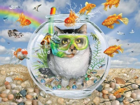 :D - cat, aquarium, summer, funny, fantasy, pisica, situation, fish, orange