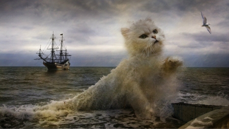 Foam cat - storm, fantasy, pisica, foam, ship, sea, creative, cat