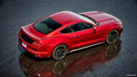 2016 Ford Mustang GT Coupe Black Package - ford, black, gt, package, coupe, muscle, car, red, mustang