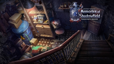 Mystery Trackers 13 - Memories of Shadowfield04 - fun, puzzle, hidden object, cool, video games