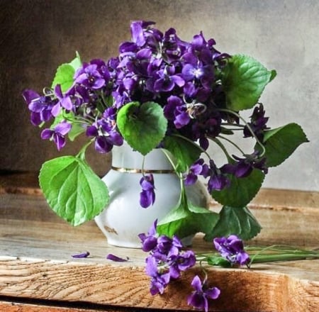 Still life - purple, flora, flowers, still life, floral design