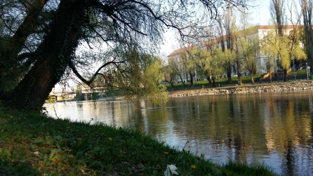 Crisul River - river, nature, oradea, crisulrepede, transylvania