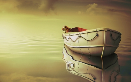 Tiger Dreams - wildcat, water, predator, boat, reflection, cat