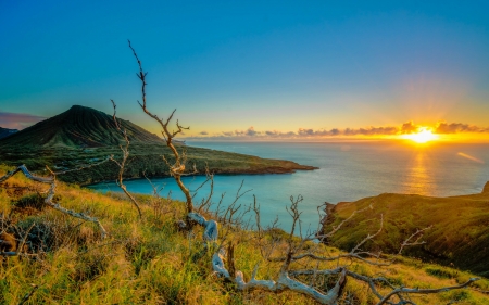 Sunrise Over the Ocean - nature, sunrise, grass, ocean, sun