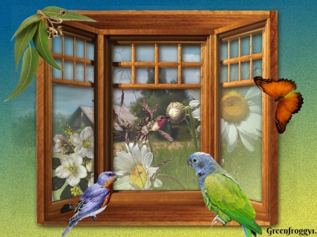 BIRDS IN WINDOW - window, creation, birds, art