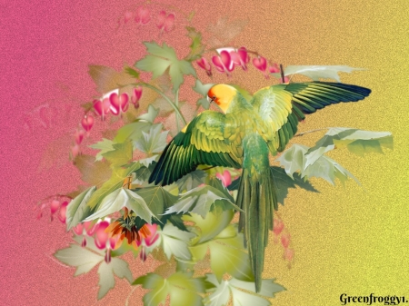 PRETTY PARROT - ART, CREATION, PARROT, PRETTY