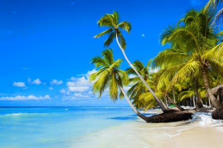 Exotic tropical island - beach, sky, ocean, tropics, paradise, palms, summer, exotic, blue, island, sea