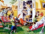 Cats camping