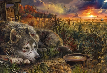 Sad wolf - illustration, fantasy, animal, wolf