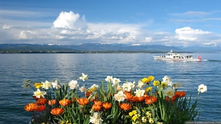 Spring Lake - flowers, clouds, nature, lake, spring