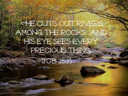 Job - nature, job, jesus, trees, god, rivers, rocks