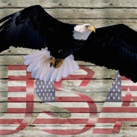 Freedom Eagle USA