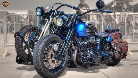 Custom Harley-Davidson