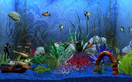 aquarium