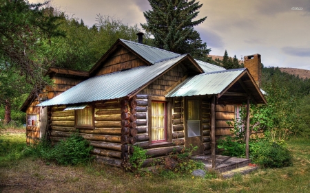 log cabin - grass, forest, cabin, log