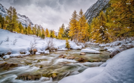 rocky river - winter, tree, rocky, river