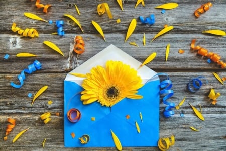 Enjoy the summer! - summer, card, flower, yellow, wood, blue