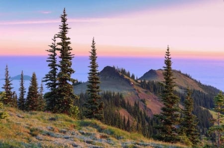 Lovely Mountains - sky, mountains, trees, nature