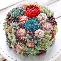 Succulent Cake