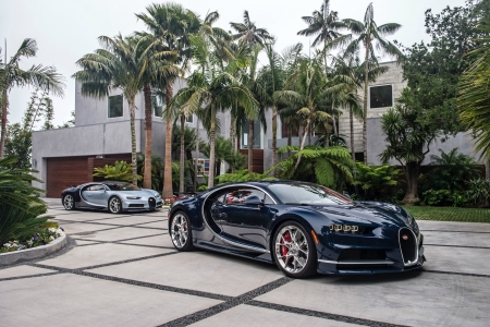 2017 Bugatti Chiron - bugatti, cars, 2017, chiron