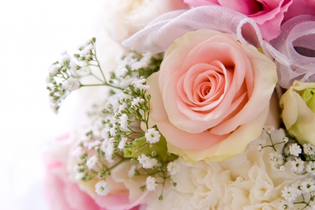 â™¥ - nature, flowers, rose, pink