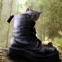 Puss in boot