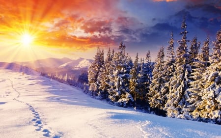 sunset over mountain - tree, sunset, mountain, snow