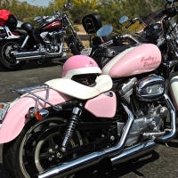 Pink Harley-Davidson