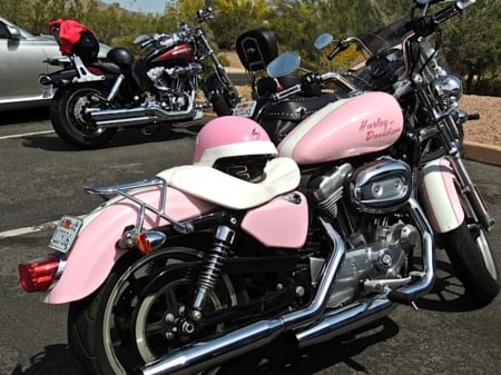 Pink Harley-Davidson - motocycles, speed, hot, pink, harley-davidson