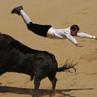 A recortador leaps over the bull