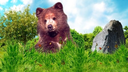 BEAR - forest, butterflies, bear, trees, bruno, grass