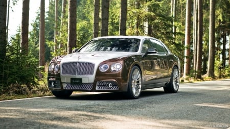 2014 Mansory Bentley Flying Spur