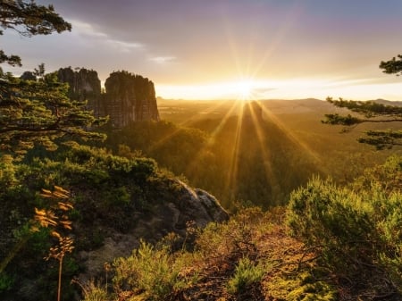 Sun on the Horizon, The Swiss Alps - trees, sunset, alps, nature, forest