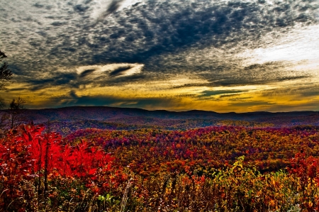 WV SUNRISE - morning, sky, clouds, wv, meadow, mountains, sunrise